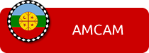 AMCAM